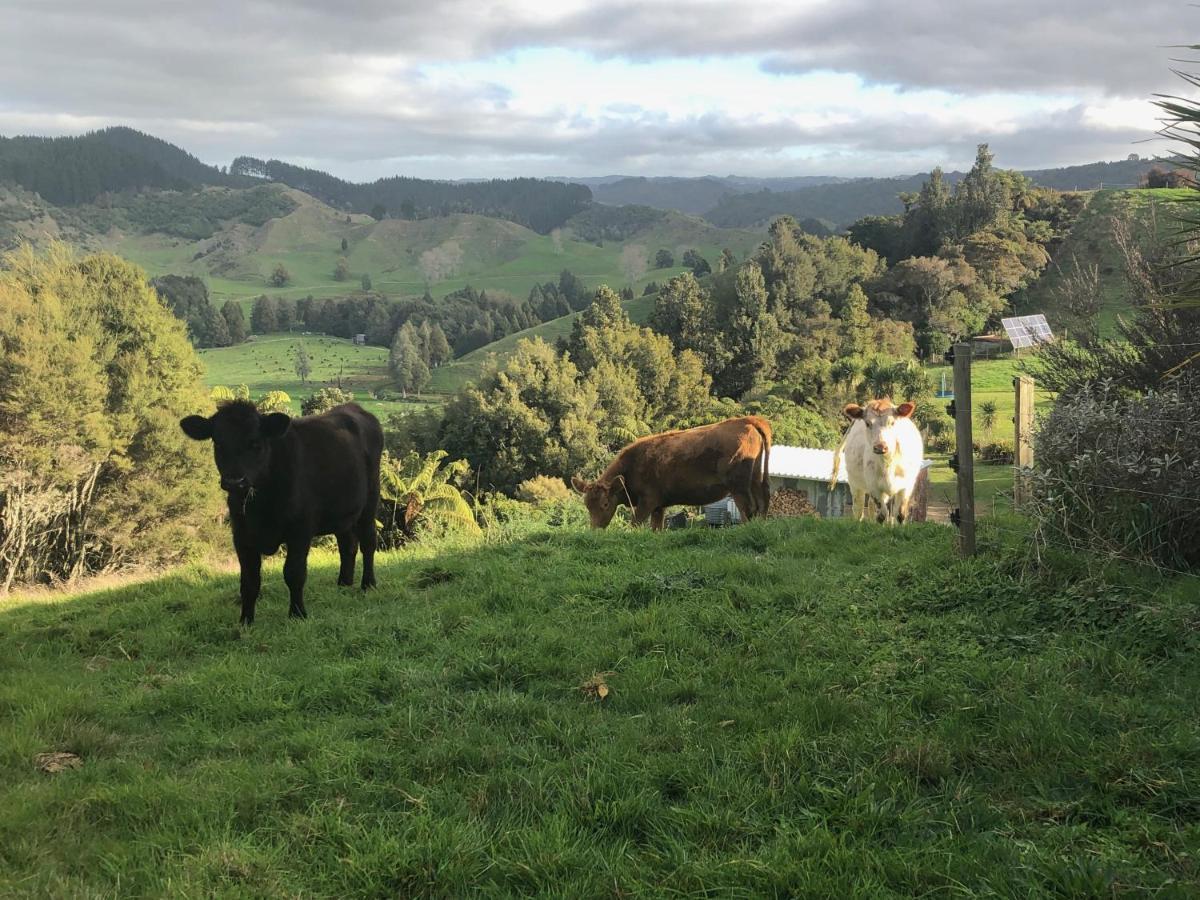 Nadarra Hideaway Bed & Breakfast Otorohanga Exterior photo