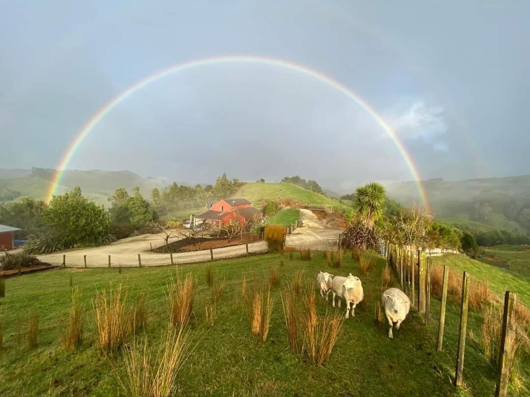 Nadarra Hideaway Bed & Breakfast Otorohanga Exterior photo